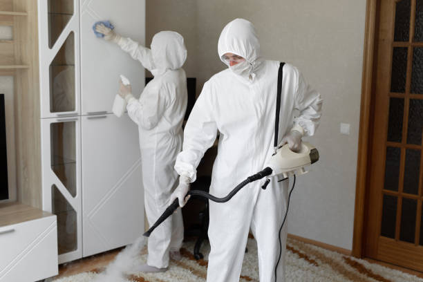 Trusted Pleasantville, IA Mold Removal Experts